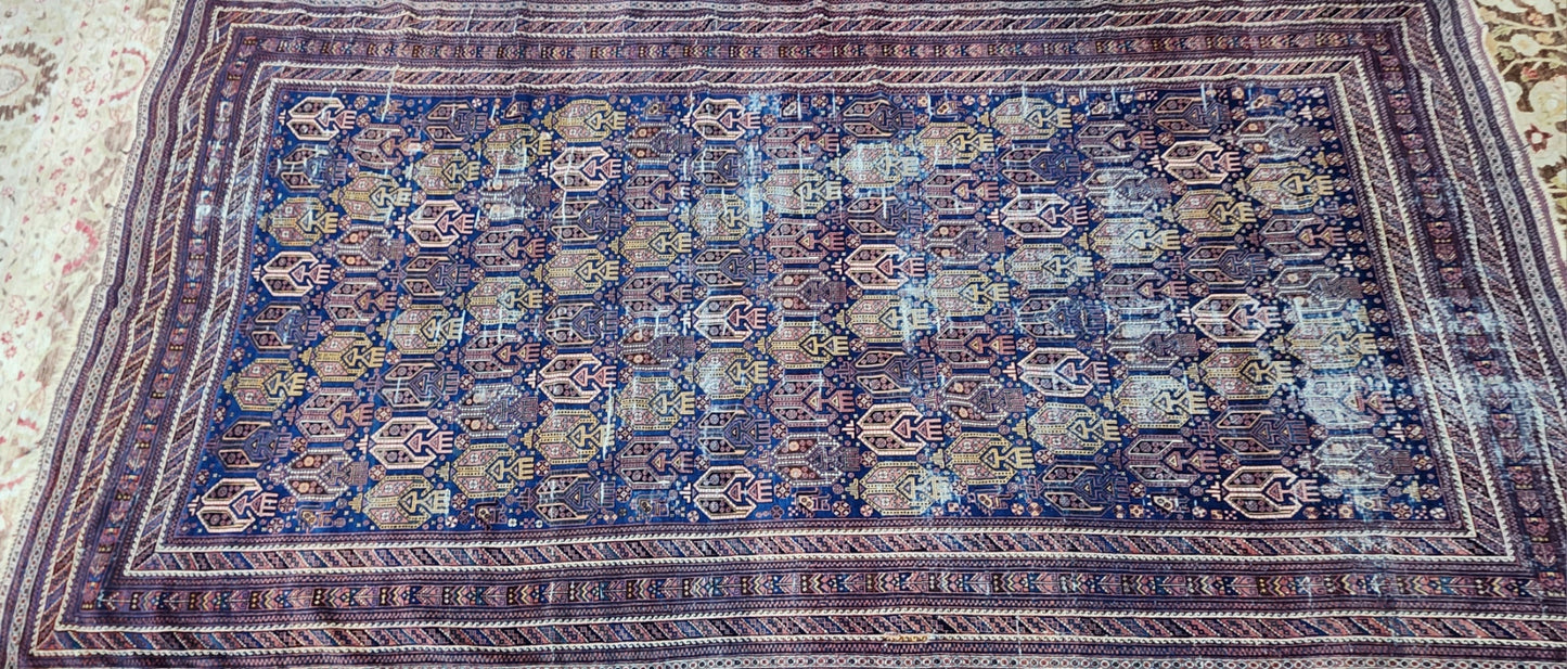 Antique Afshar Main Carpet – Handwoven Wool (19th Century) | 6'8" x 12'5"