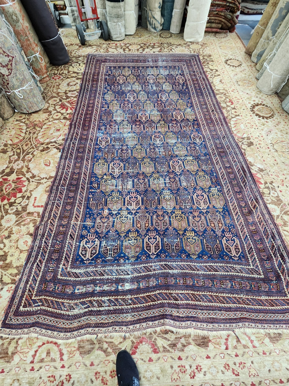 Antique Afshar Main Carpet – Handwoven Wool (19th Century) | 6'8" x 12'5"