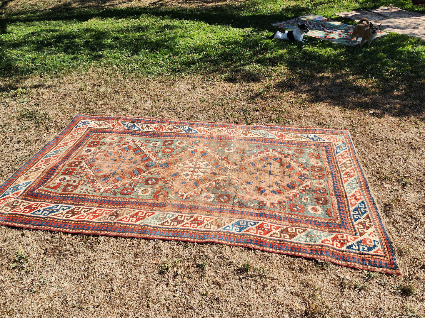 Antique Kazak Caucasian Rug | Circa 1900 | Handwoven Tribal Rug (4 x 8)