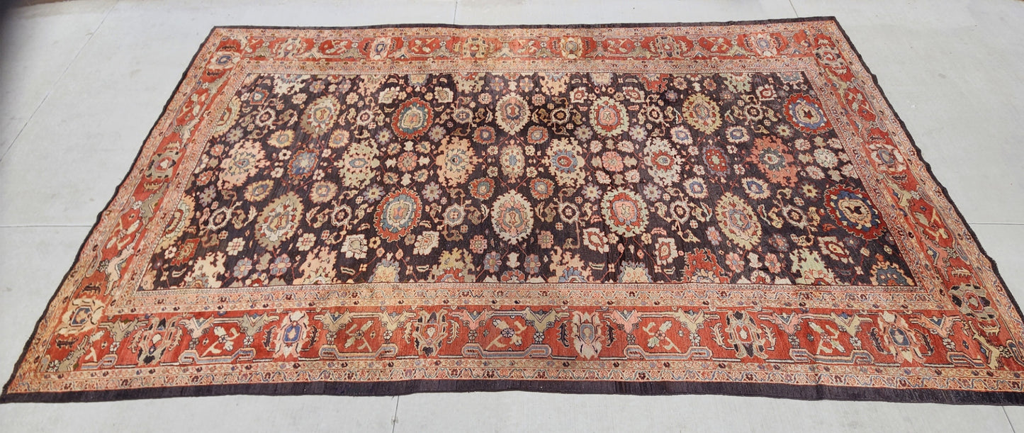 Antique Rare Sultanabad Rug – 10.3 x 17
