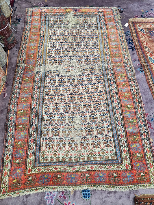Antique Kurdish Rug – Circa Late 19th Century | 5.3 x 9.1 ft Handwoven Wool Carpet (#25944)
