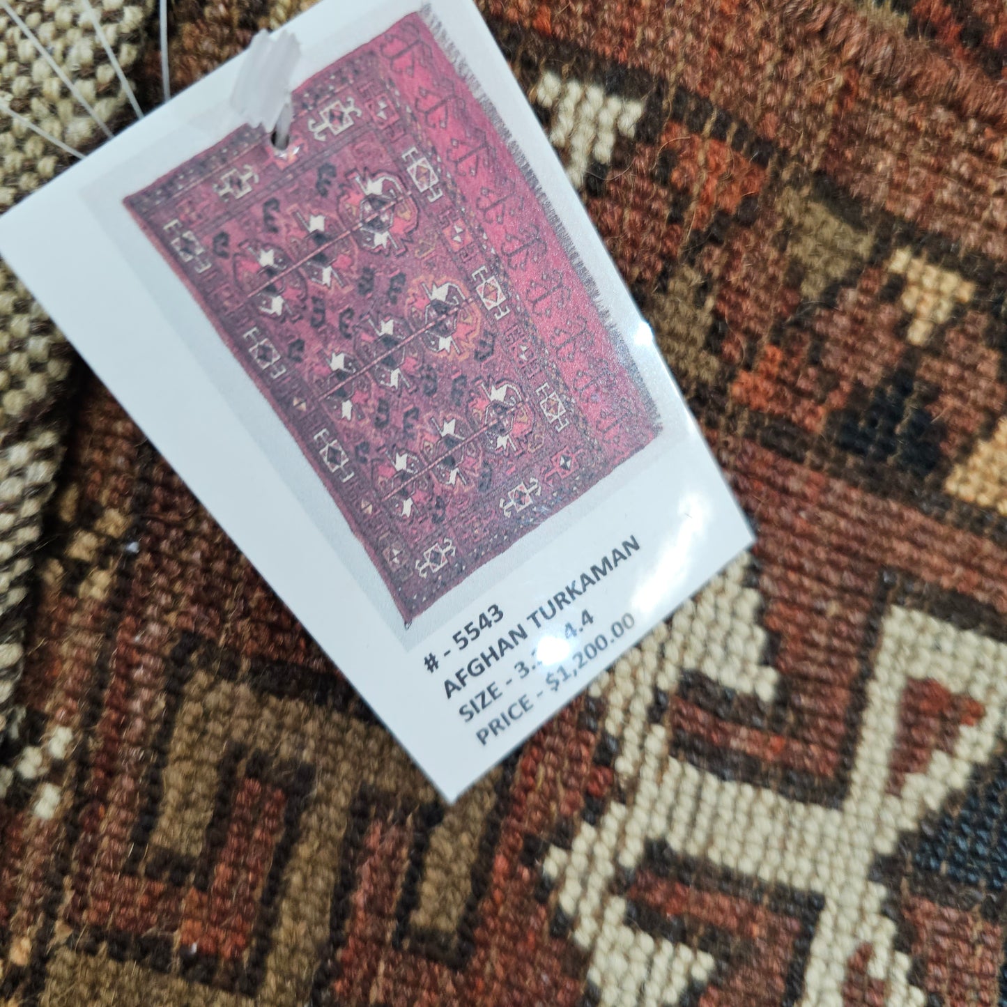 5543 Turkoman Jalar