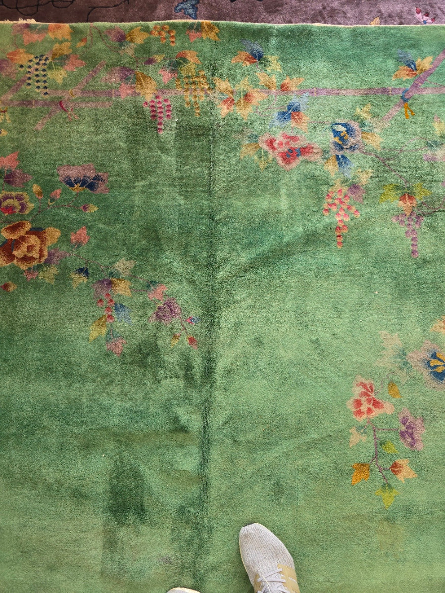 25792 Nichols Chinese Rug