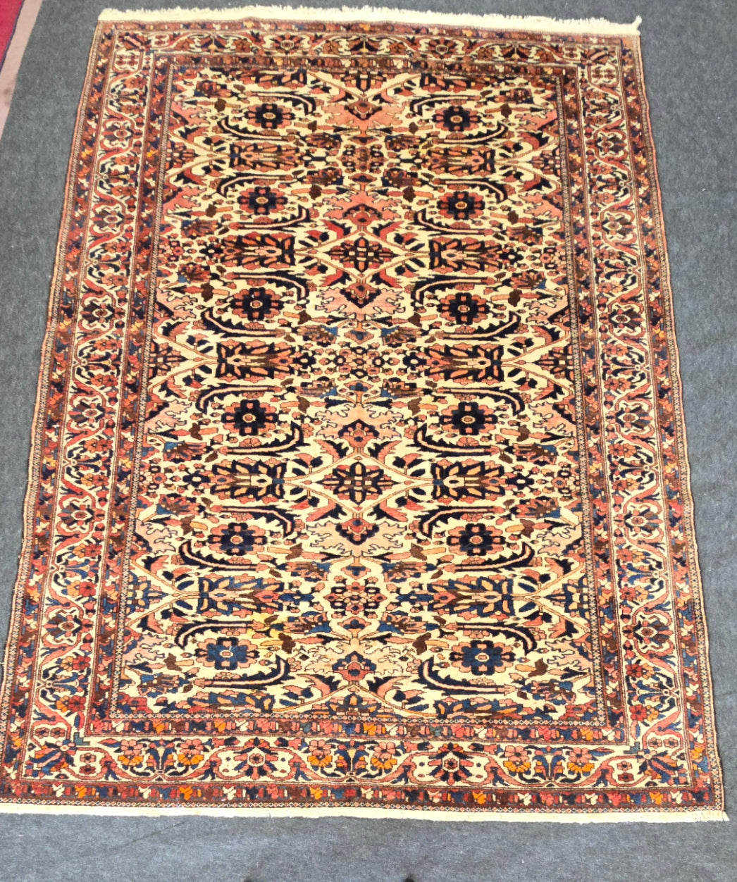 Antique Bakhtiari Rug | Handwoven Persian Wool Carpet (7.3x10.1) (26138)