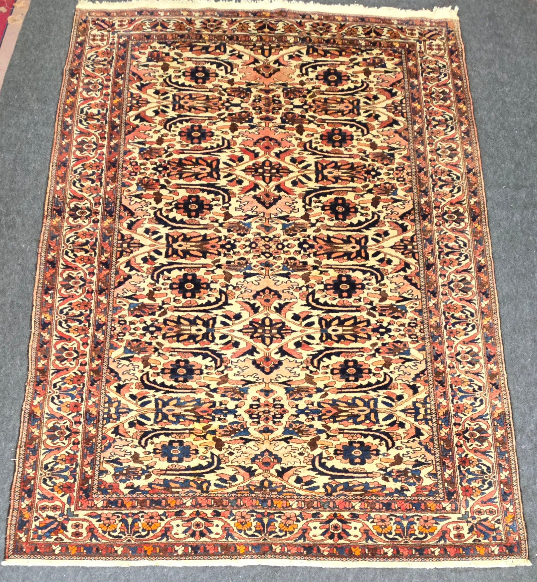 Antique Bakhtiari Rug | Handwoven Persian Wool Carpet (7.3x10.1) (26138)