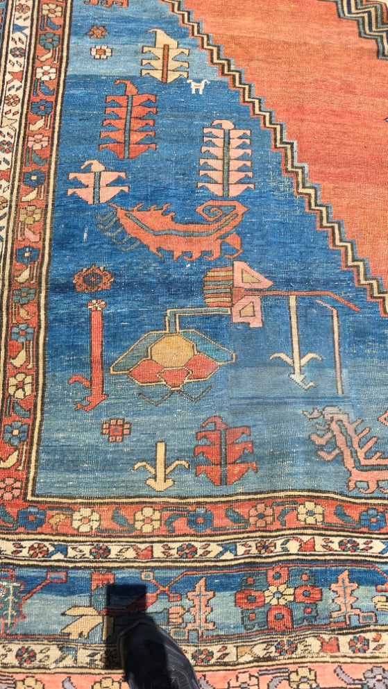 19th Century Palace sized Bakshaish 12.6x19.5