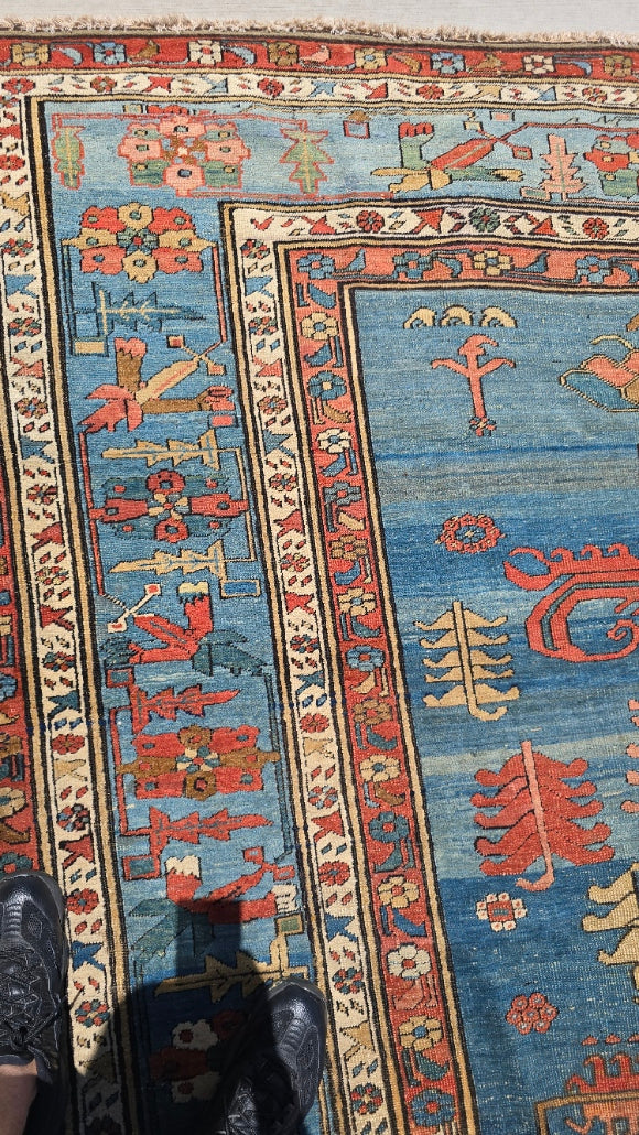 19th Century Palace sized Bakshaish 12.6x19.5