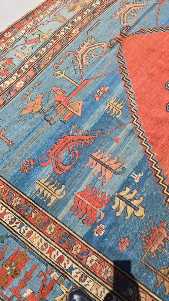 19th Century Palace sized Bakshaish 12.6x19.5