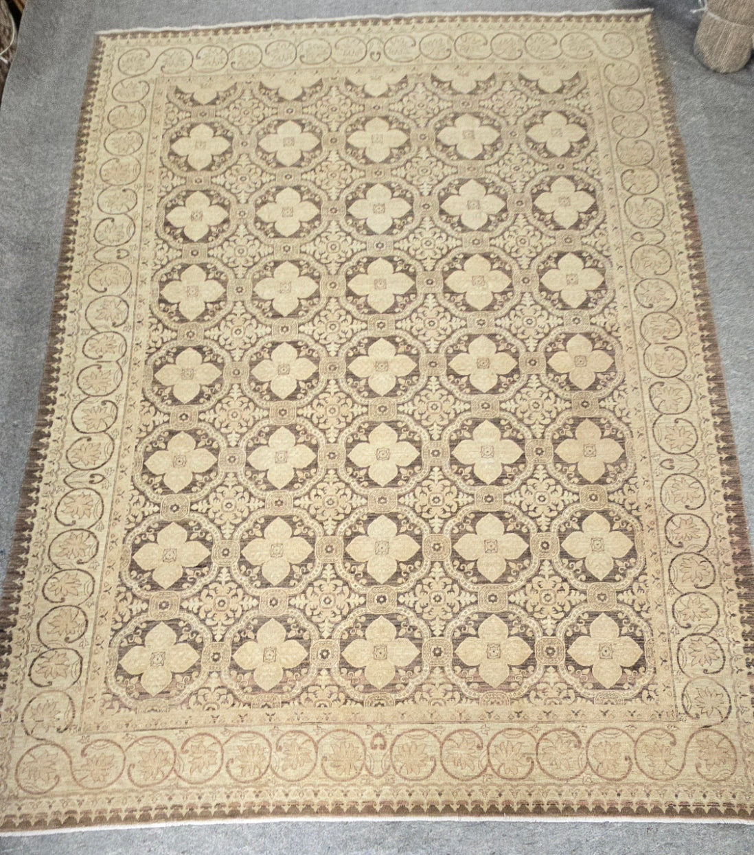Tabriz Teawash Rug 8.8 x 11.9 (10438)