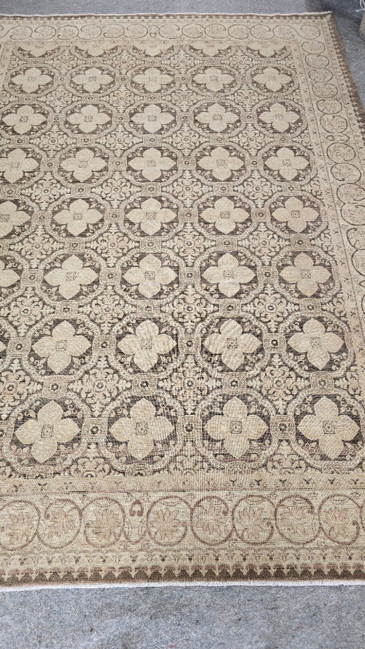 Tabriz Teawash Rug 8.8 x 11.9 (10438)