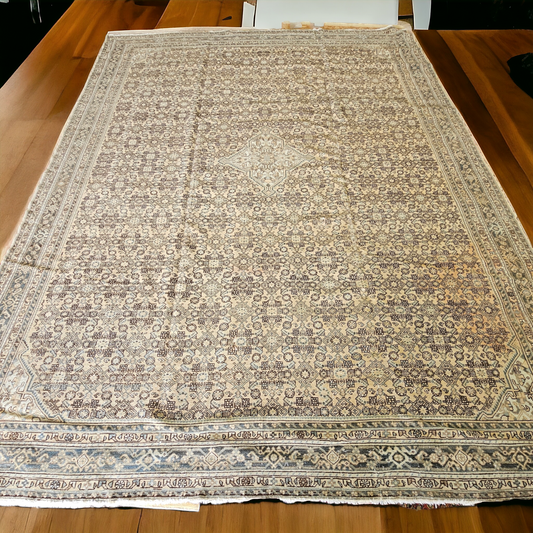 Antique Persian Hamadan Rug – Hand-Knotted Wool (10 x 14) – Neutral Tones