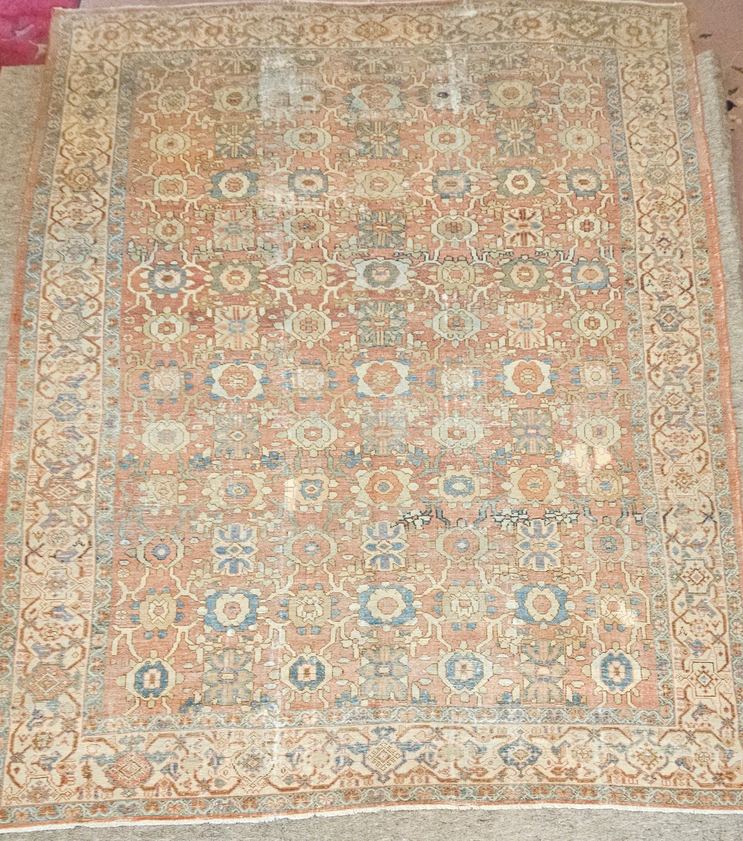 Antique Persian Sultanabad Rug – Hand-Knotted Wool (Circa Late 19th Century) (#9317) – 8.3 x 12.5
