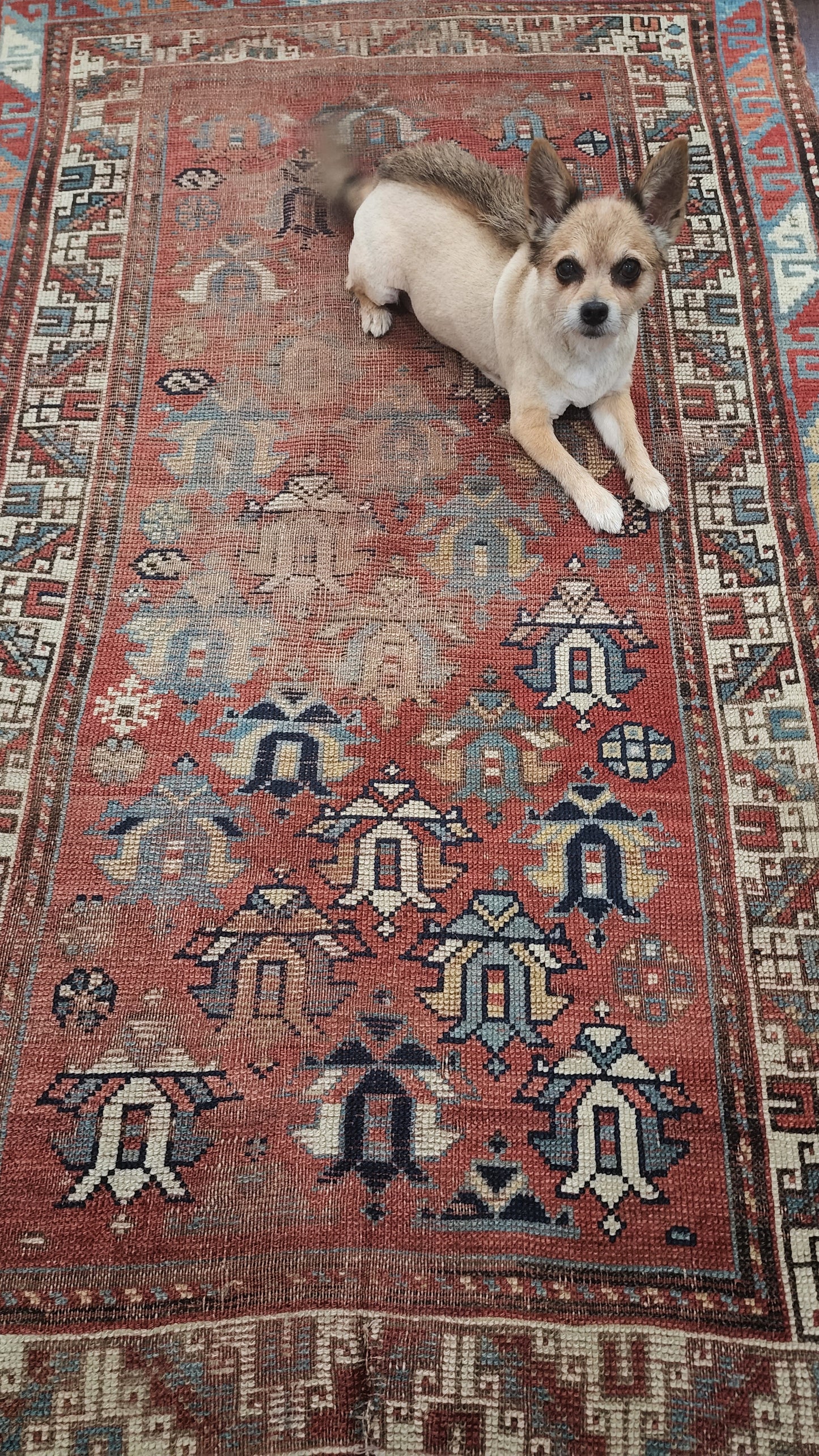 Vintage Caucasian Rug