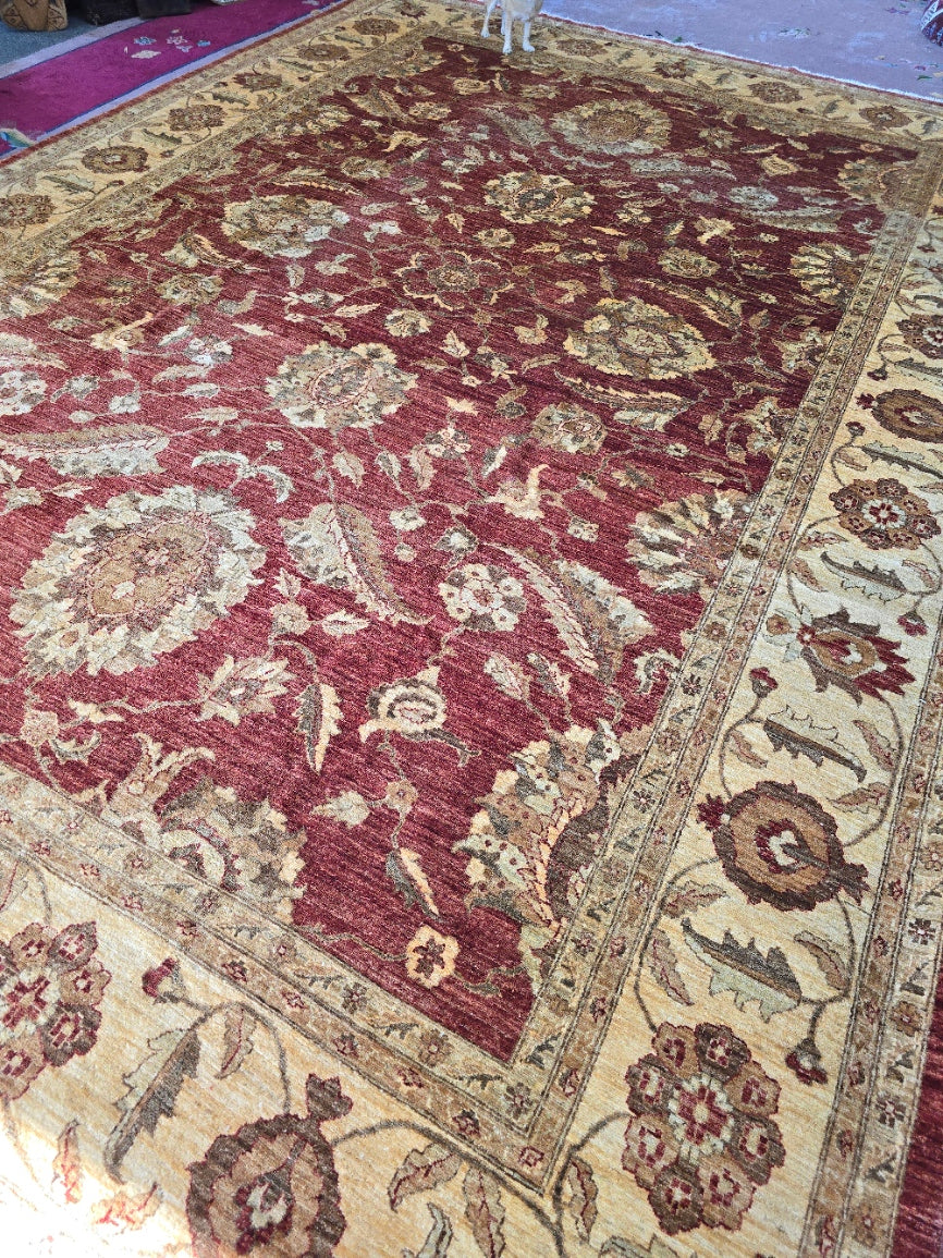 Afghan Traditional Teawash Rug – 10 x 14 (#10340)