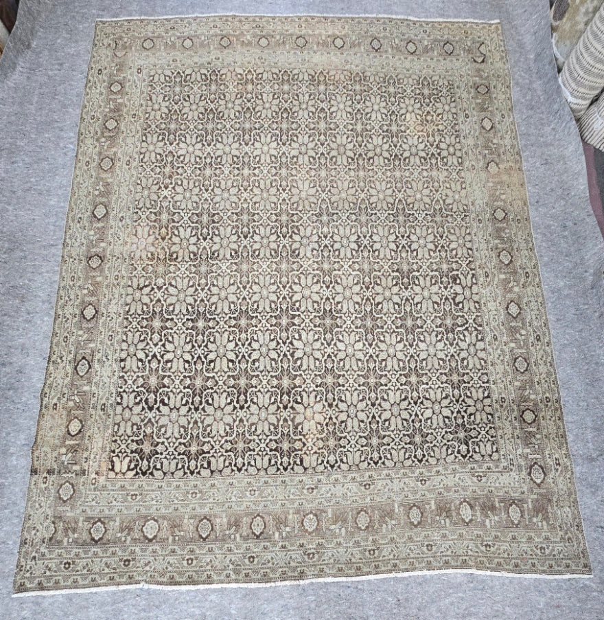 Indian Agra Rug – 9 x 12 (#5966)