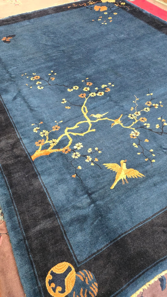 Antique Chinese Peking Rug | Handwoven Wool Carpet | Circa Early 20th Century Size 9.1 x 11.7 (#10516)