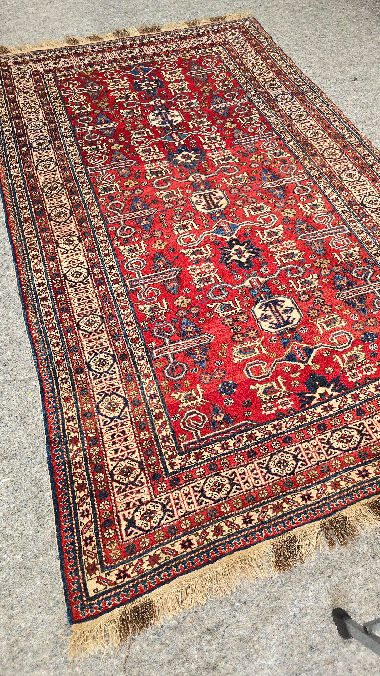 Early 20th Century Antique Shirvan Rug – Mint Condition Collector’s Piece (5.1 x 8.4 ft)