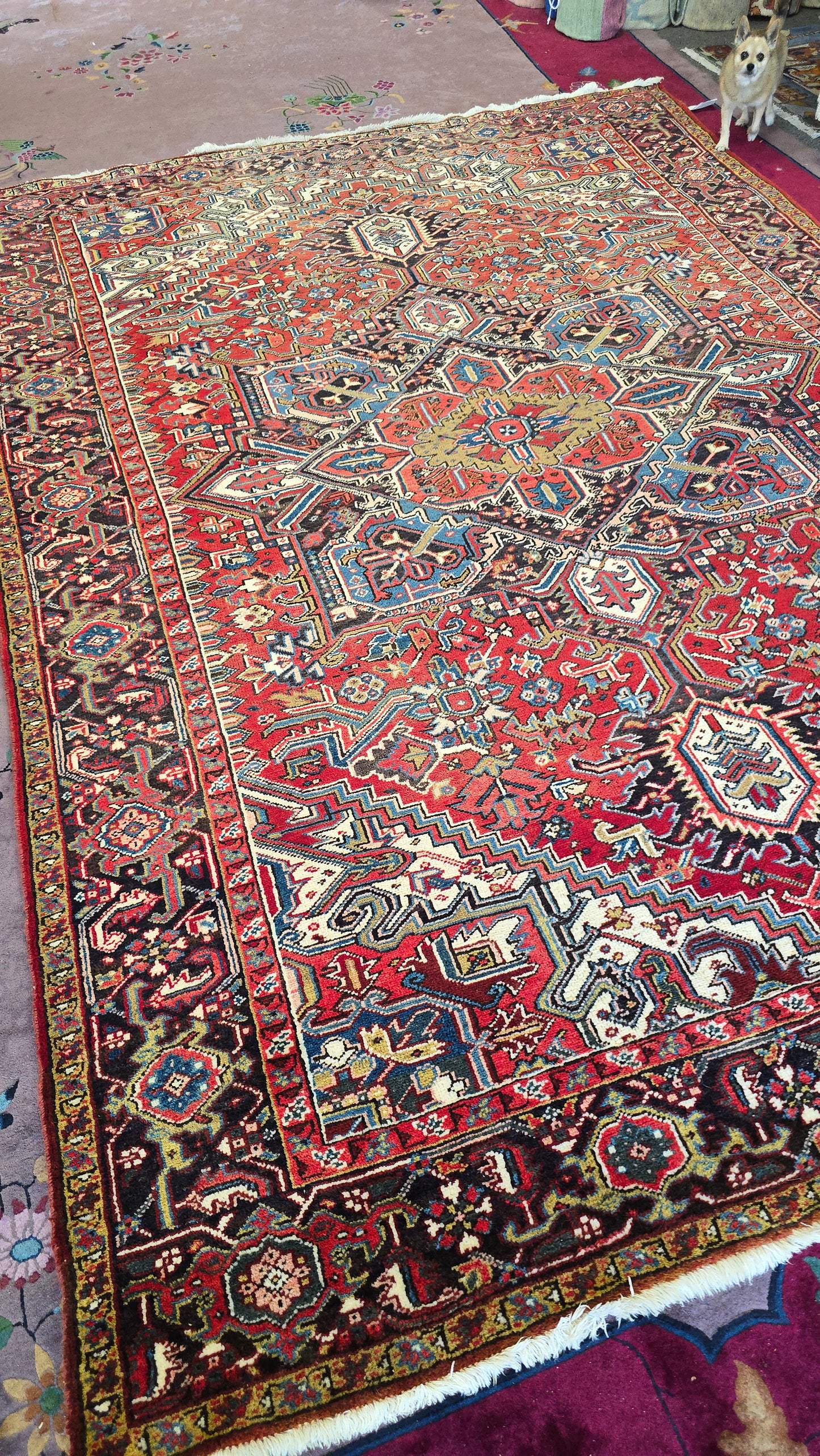 Antique Persian Heriz Rug Circa 1940s (#10503)