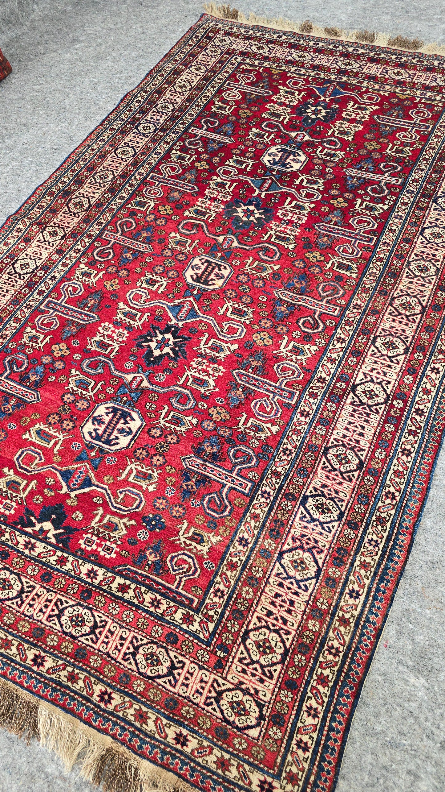 Early 20th Century Antique Shirvan Rug – Mint Condition Collector’s Piece (5.1 x 8.4 ft)