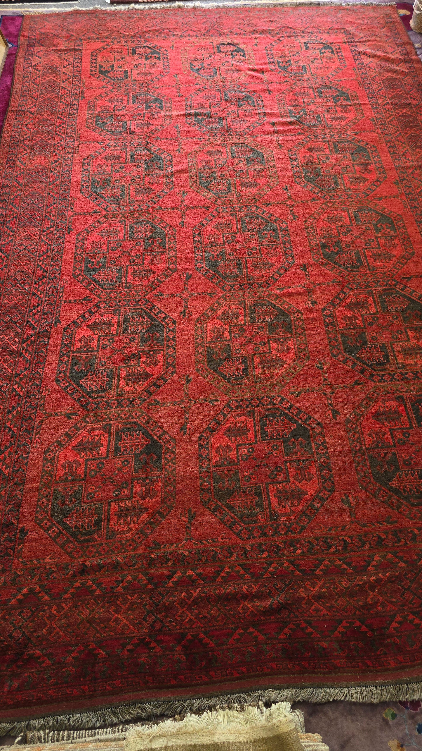 Antique Ersari Turkoman Rug Circa 1920s – Handwoven Tribal Design ( 10 x 15)