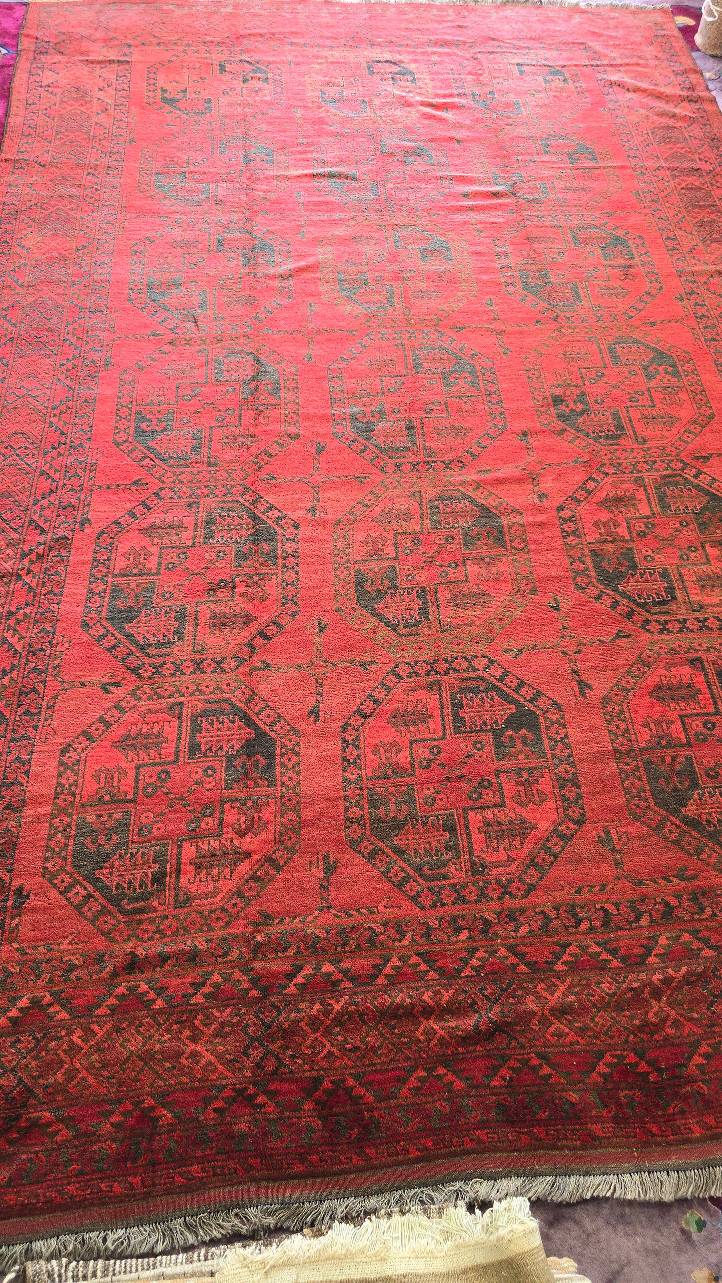 Antique Ersari Turkoman Rug Circa 1920s – Handwoven Tribal Design ( 10 x 15)