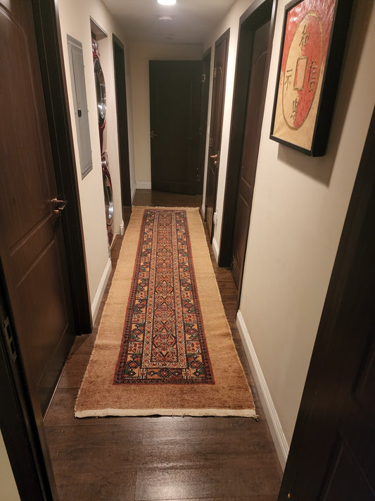 19th Century Hamadan Runner #21020